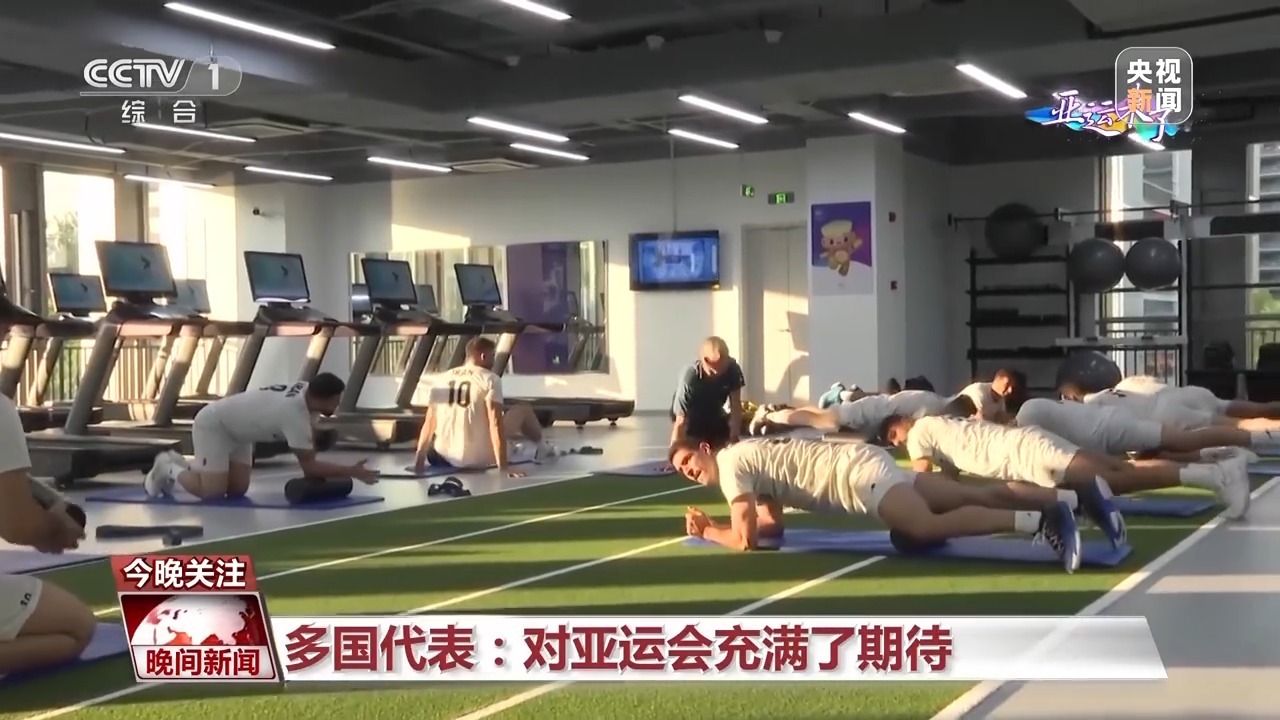 庄闲分析软件安卓版